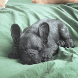 Sleeping Frenchie - Black, Homewares, White Moose - Say It Sister