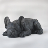 Sleeping Frenchie - Black, Homewares, White Moose - Say It Sister