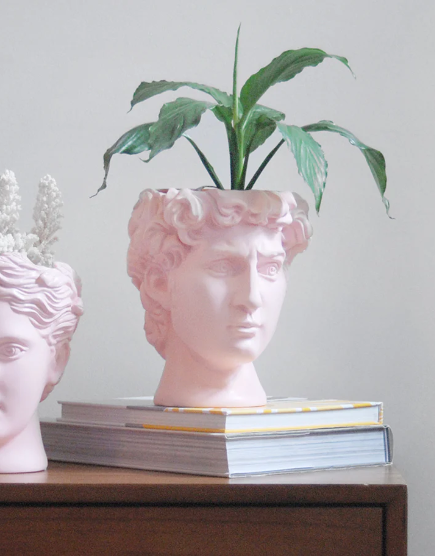 David Vase/Plant Holder - Pink, Vase and Pots, White Moose - Say It Sister